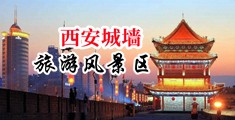 毛茸茸亚洲阴户中国陕西-西安城墙旅游风景区