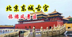 胖美女逼逼经典视频中国北京-东城古宫旅游风景区